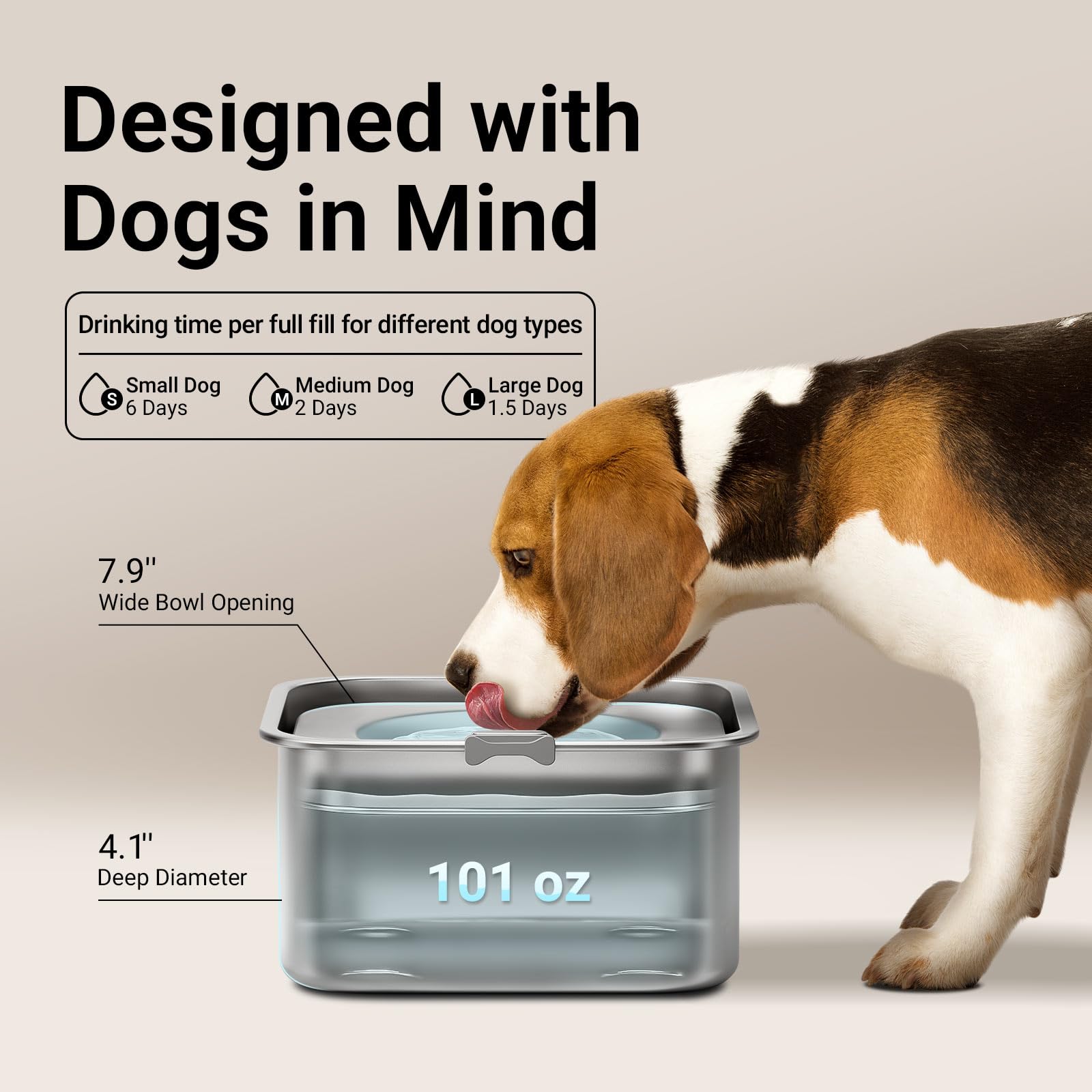 Much Water Dog Wont Stop Drinking Your Dog My Dog Wont Stop