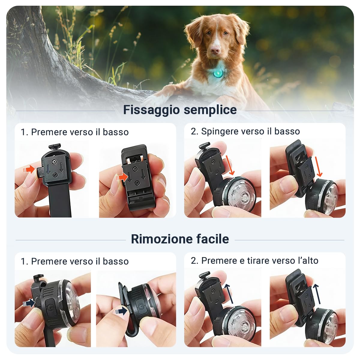 PAJ LIGHT MINI - LED Ultraluminoso per Collari e Pettorine - Cani Piccoli, Medi e Gatti - Regolazione Flessibile - 100% Impermeabile - 7 Colori - Sicurezza e Visibilità Notturna