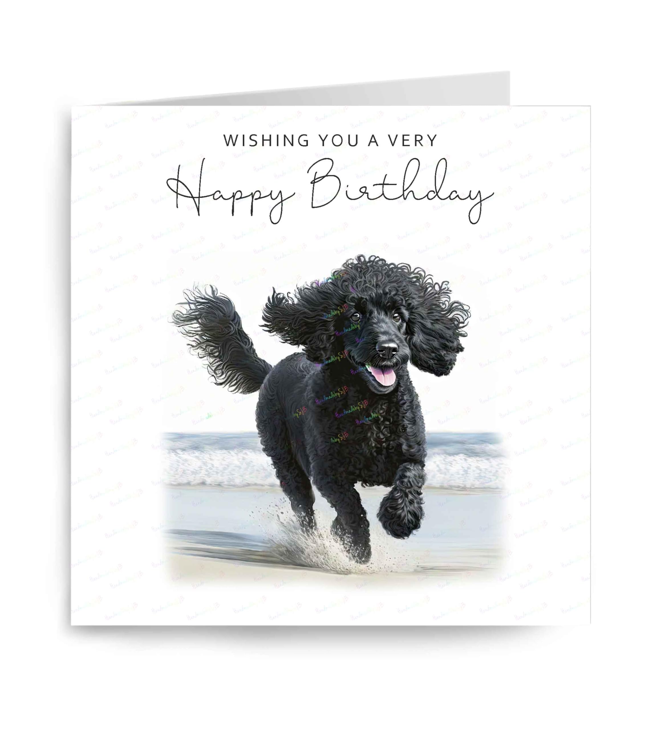 Poodle (Black) Birthday Card, Lovely Dog Beach Scene Greetings Card, Fun Dog on the Beach Birthday Card, Cute Dog Seaside Birthday Card, 6" x 6", Blank Inside