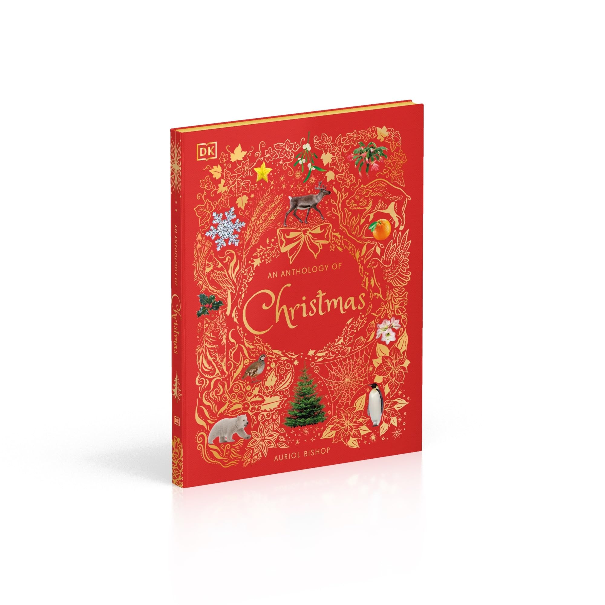 An Anthology of Christmas: Discover the Magical Stories of the Festive Season (DK Children's Anthologies)