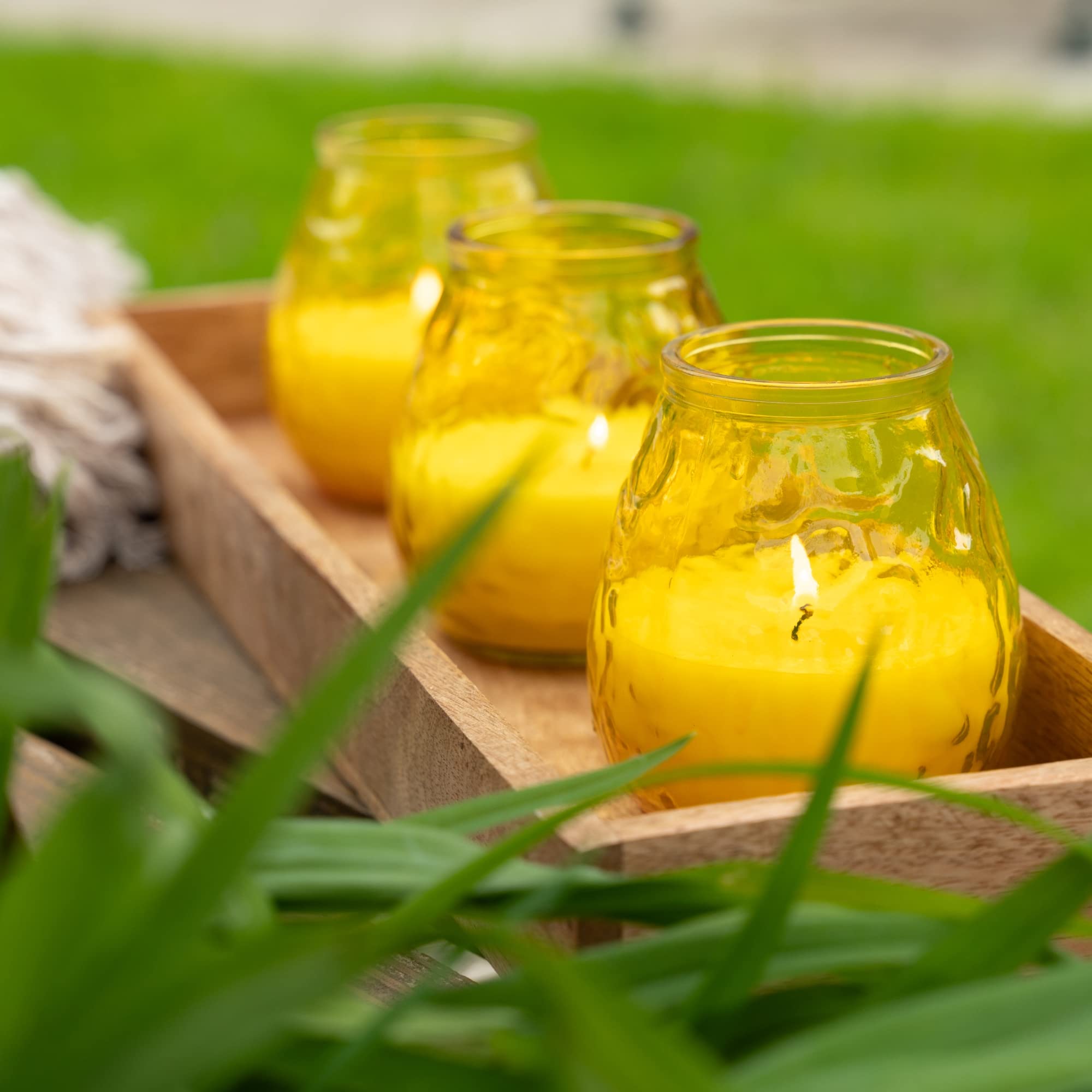HOFER 6 luci da bistrò, citronella, portacandele per esterni, di alta qualità, in vetro con profumo di citronella, per feste in giardino, decorazione per esterni