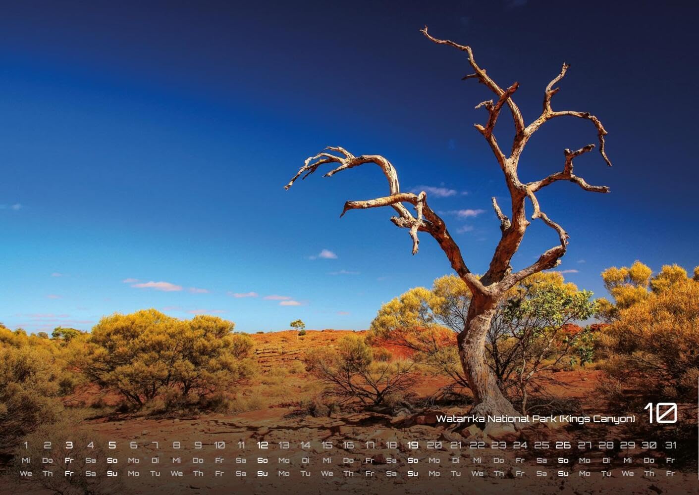 Australien - das Land der Kängurus - 2025 - Kalender DIN A2: Der Wandkalender mit den schönsten Motiven Australiens für das Jahr 2025 im extragroßen Format DIN A2 (ca. 60 x 42 cm)!