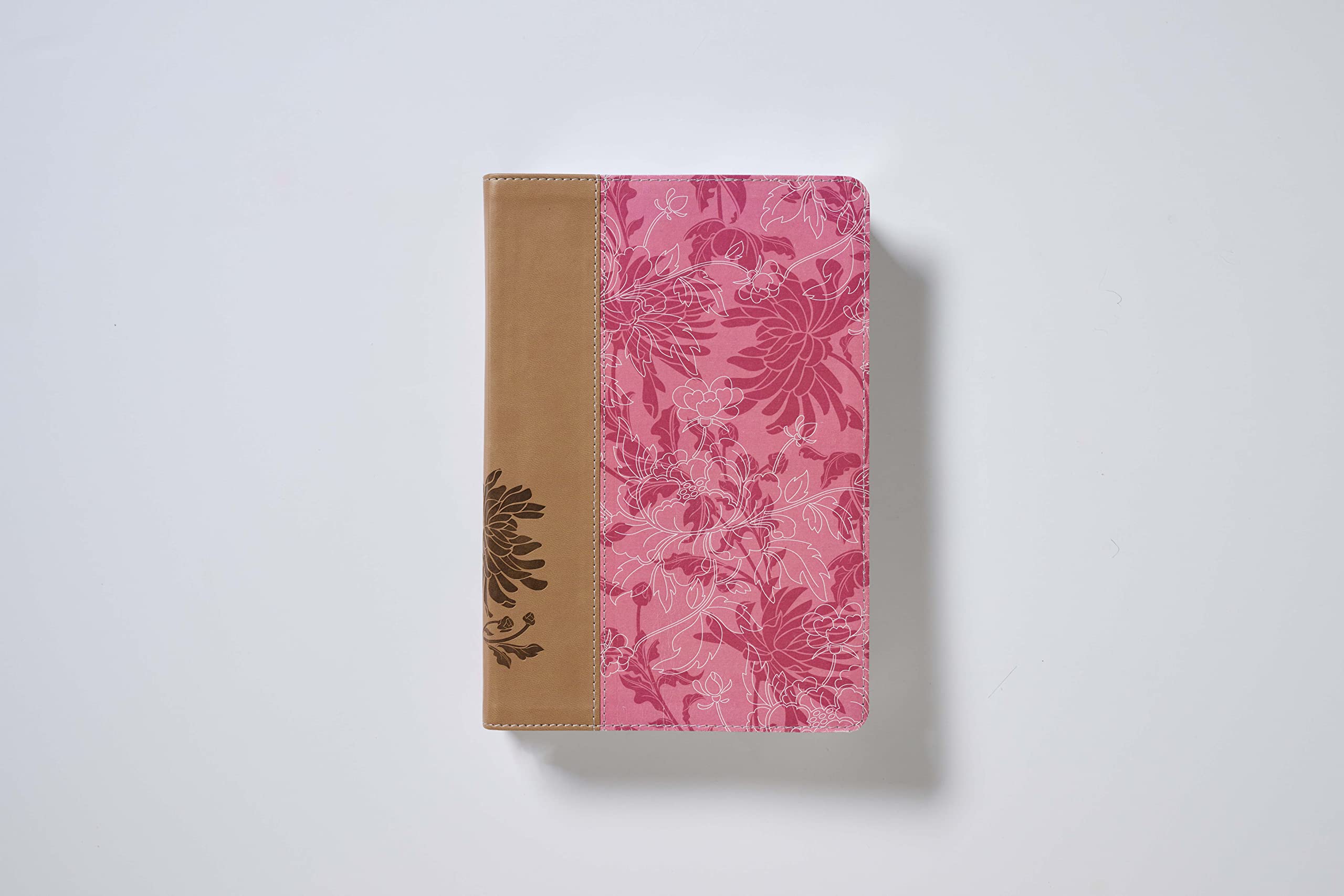 Biblia de Estudio Para la Mujer-Rvr 1960