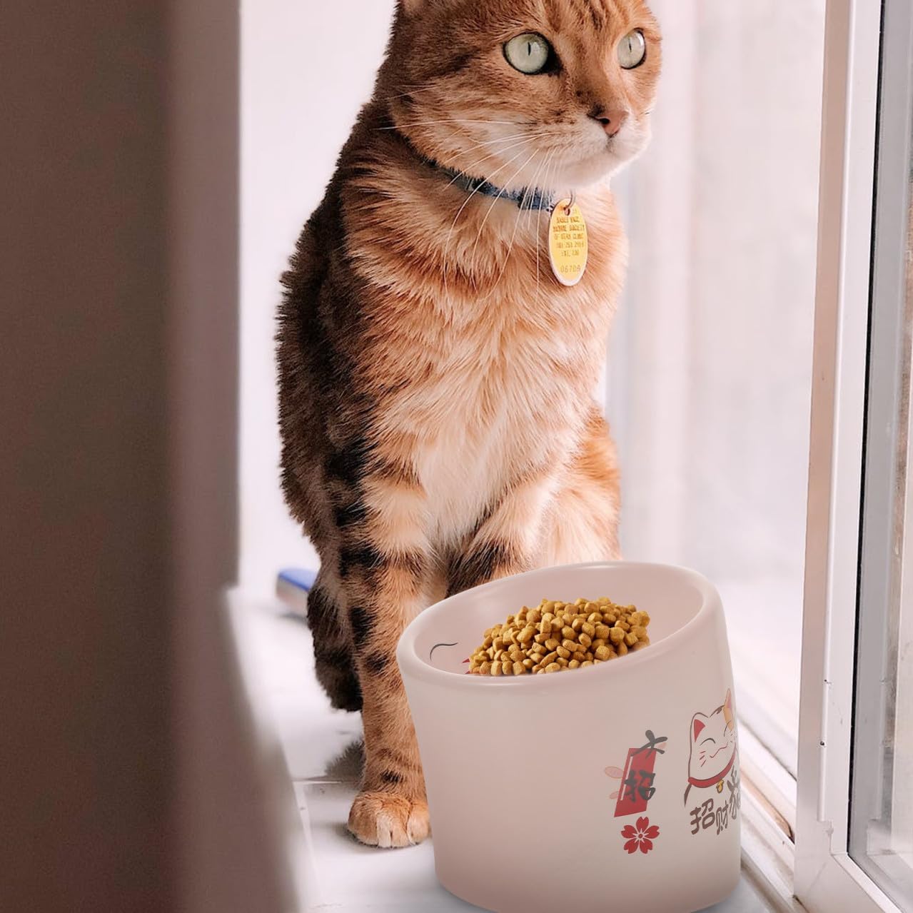 Kisangel Ceramic Elevated Anti-Spill Cat Feeding Bowl Pink Pet Feeder Dish Spill-Resistant Kitten Water Bowl for Indoor Use