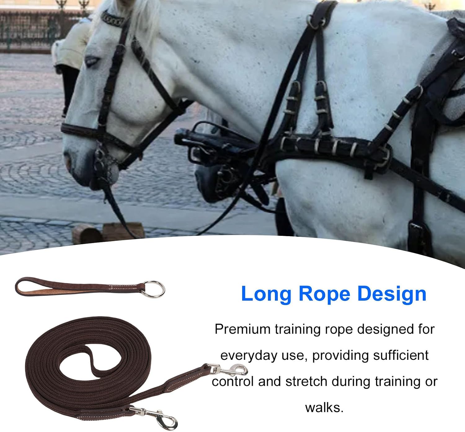 Lunge Line for Horses, Horses Training Lunge Line with Rotating Snap, Lead Rope Replaceable Buckle Cowhide Webbing Comfortable Grip Long Training Rope for Daily