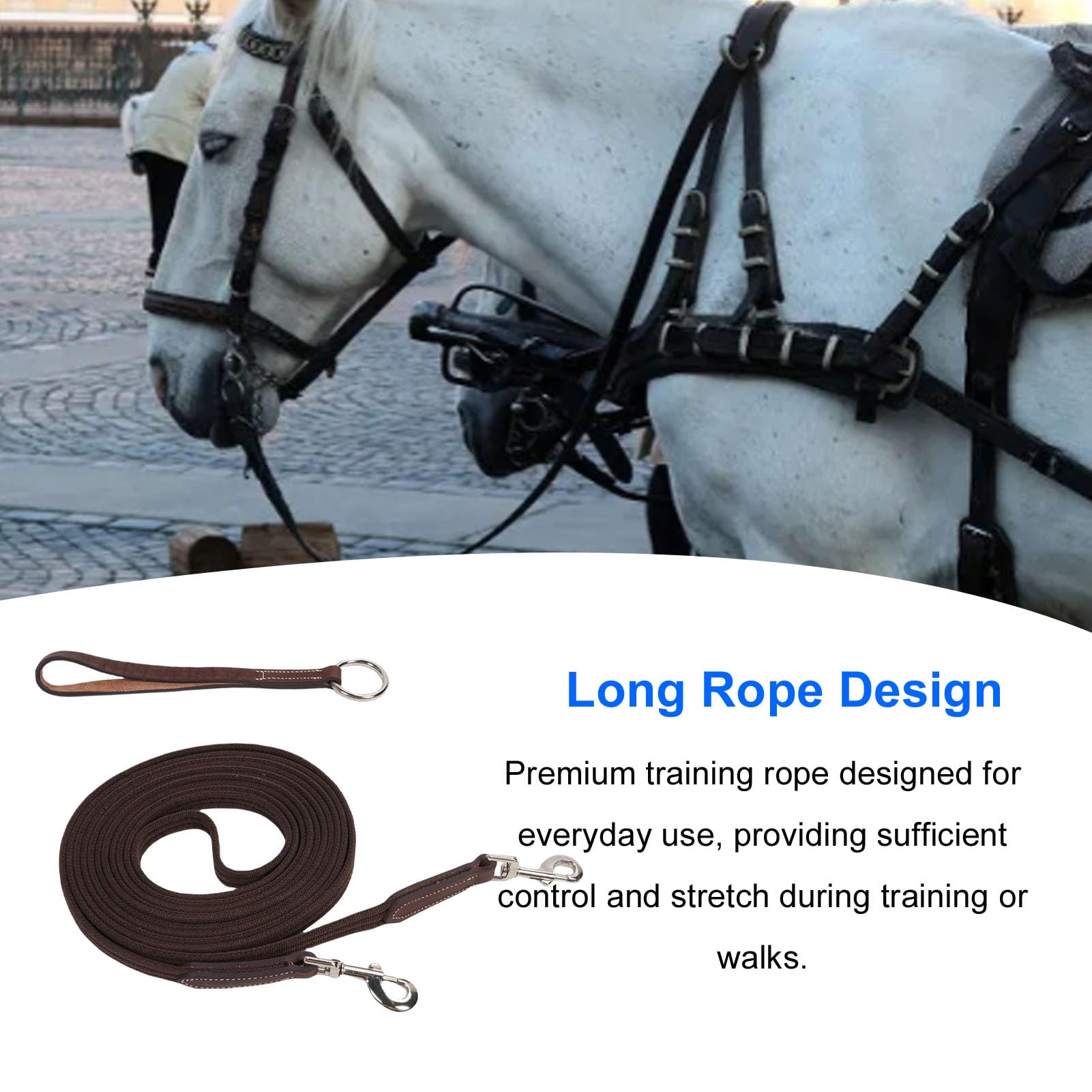 Taśma ze Skóry Bydlęcej Horse Lunge Line z obrotową klamrą