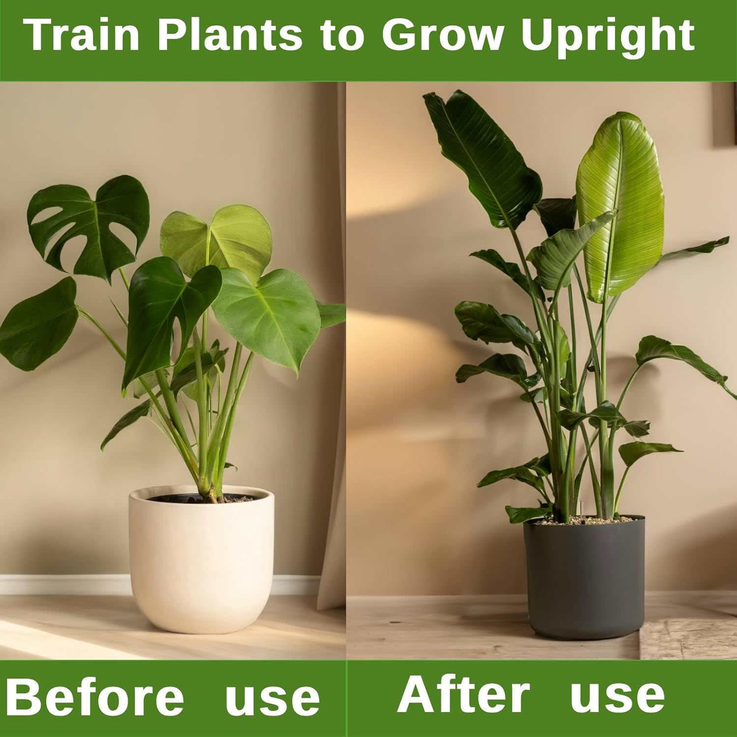 12 Pack Stackable Monstera Plant Support Stakes, Climbing Plants Support Monstera Trellis for Indoor Outdoor, Alternative to Moss Pole (39inch/12 Pack)