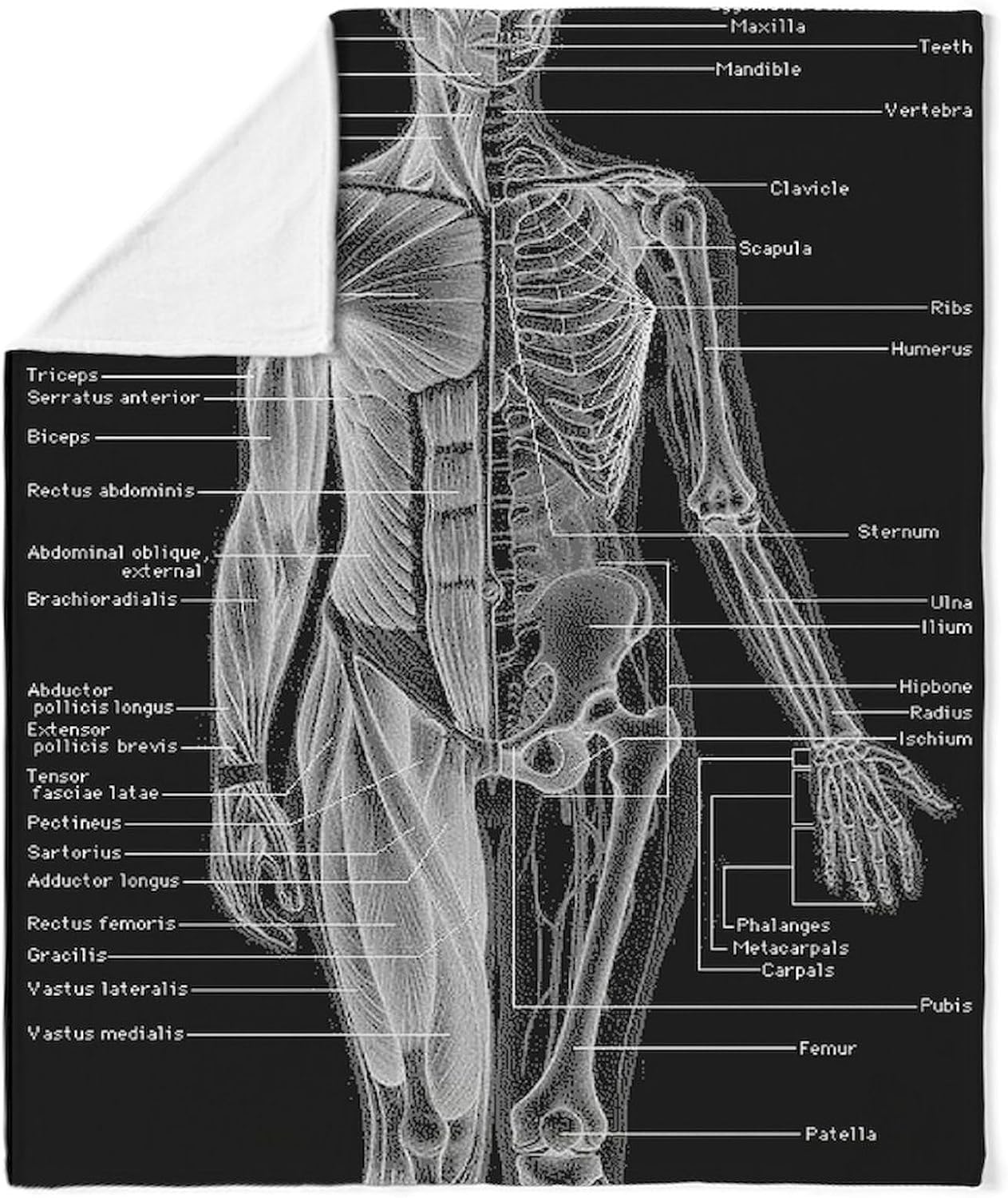 CafePress Dr Human Body Throw Blanket Super Soft Fleece Plush Throw Blanket, 60"x50"