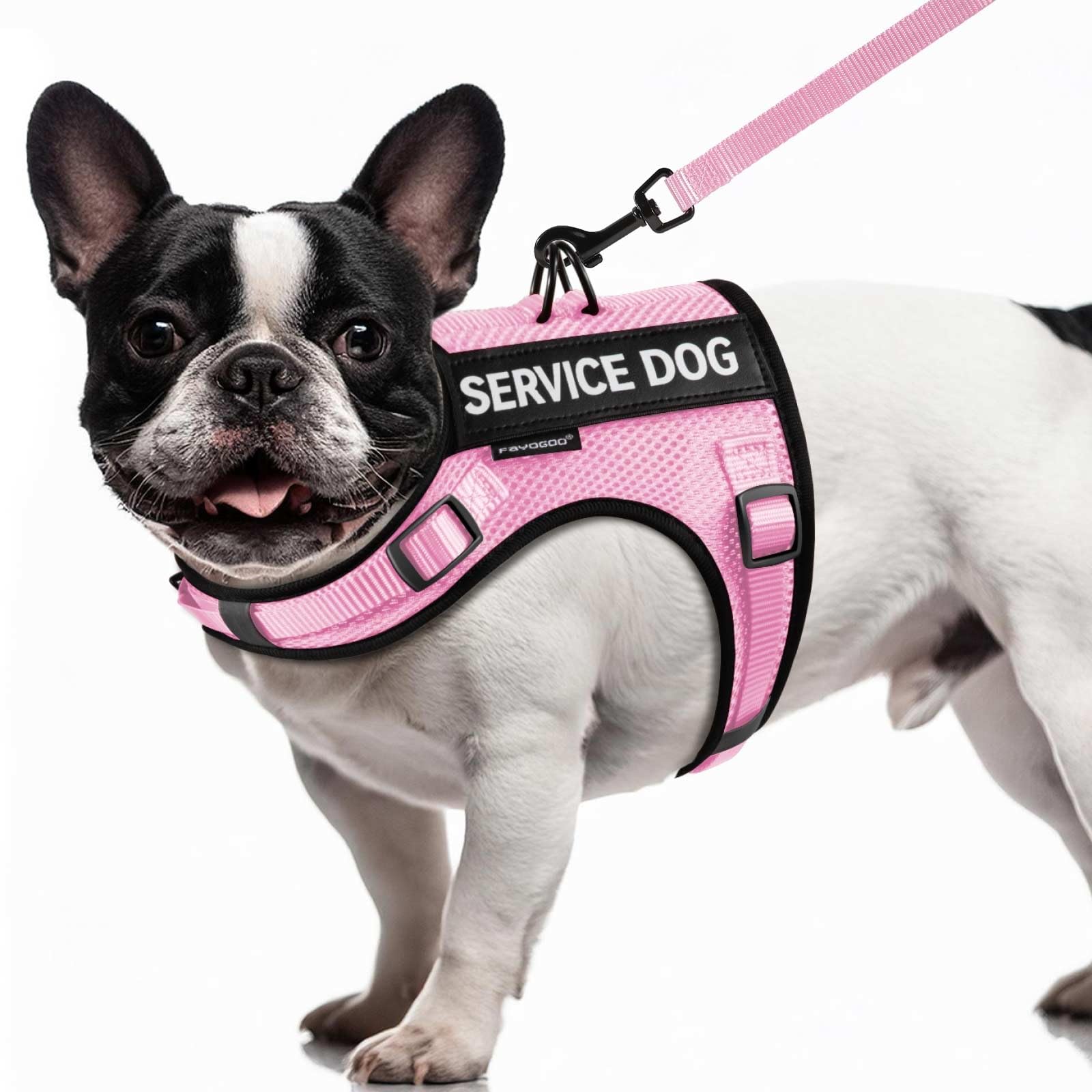 FAYOGOO Service Dog Vest for Small Dogs - Air Mesh Breathble Emotional Support Animal Vest with Velcro Patches - Puppy Harness and Leash Set