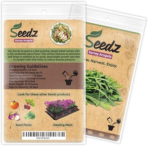 Miniatura 3 de Semillas orgánicas de ARUGULA (APPR. 1,100) Surrey Arugula - Semillas vegetales tradicionales - Certificado orgánico, sin OMG, no híbrido -Estados