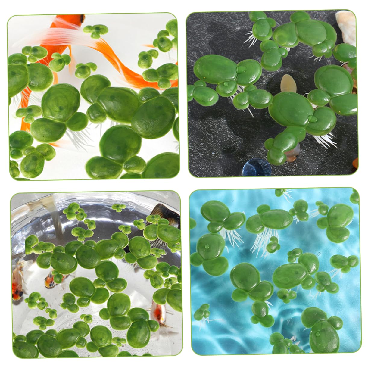 270pièces Plantes Aquatiques Flottantes Décoratives pour Aquarium Faux Lentilles Eau avec Décoration Naturelle pour Réservoirs Et Terrariums