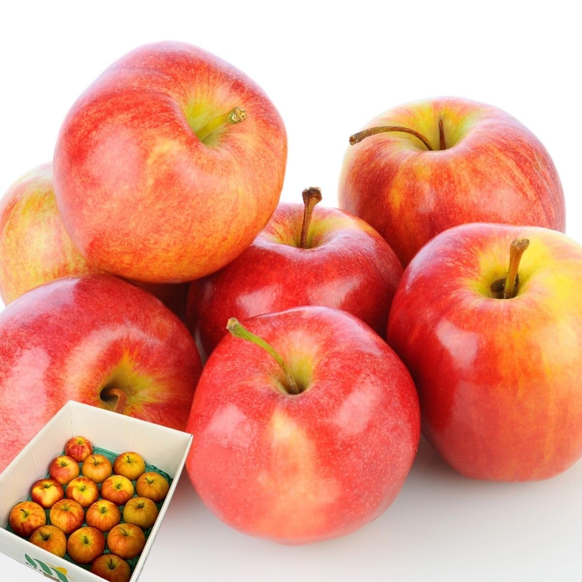 みさわのやさい りんご 特選 ギフト 化粧箱 糖度13.5度以上 ふじ 【光センサー選別品】 青森県産 長野県産 林檎 箱 リンゴ