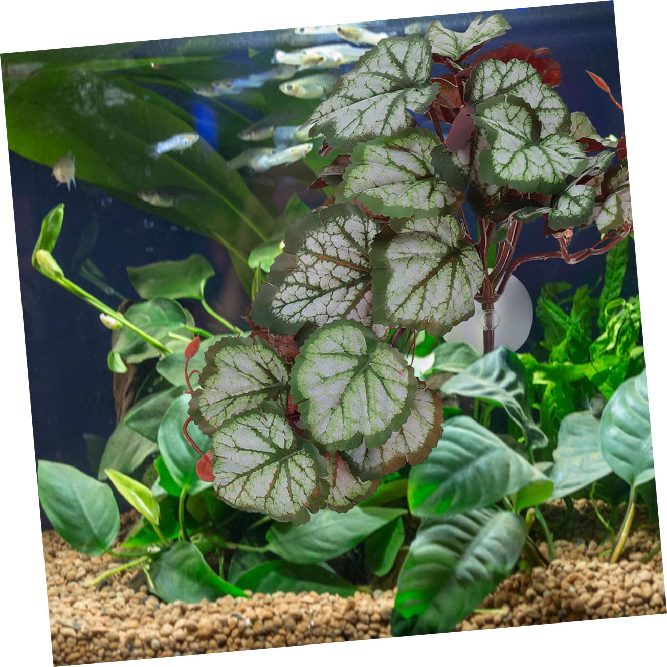 POPETPOP 4 Stück Saugnäpfe Zum Aufhängen Von Pflanzen Wohnkultur Zubehör Für Aquarien Blatt Für Reptilienterrarium Monstera-Pflanze Kunstpflanzen Aquarium Plastik Künstliche Wasserpflanzen