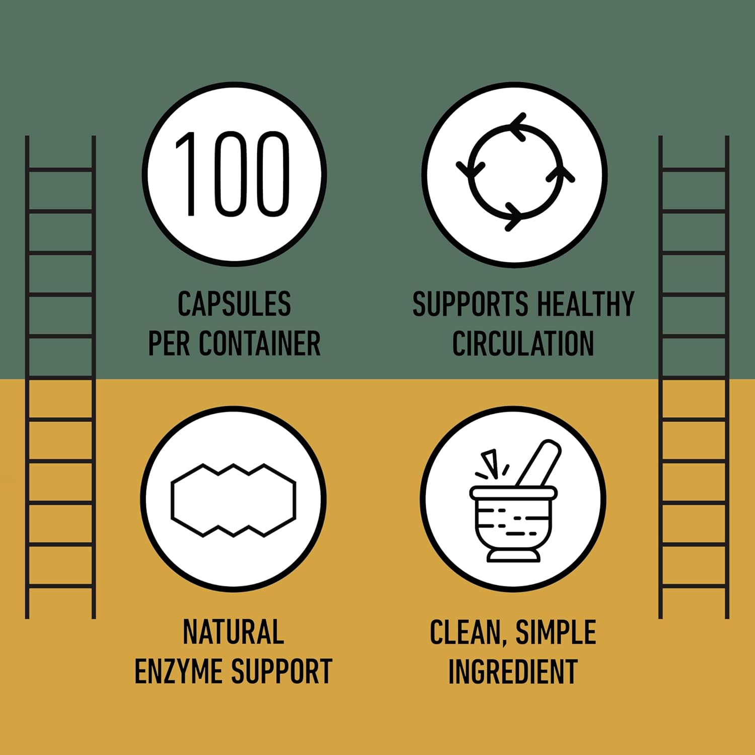 CNP Nattokinase 570mg Capsules - 6000FU Natto Enzyme Supplement, Healthy Circulation Support, Fermented Soy Extract, Vegan Gluten Free Non GMO, Pure No Fillers, High Potency, 100 Count, Made in USA