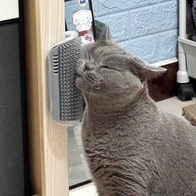 Foto 4 de 8 de QWORK® 4 Pz Masajeador para Gatos, Cepillo de Esquina para Gatos con Pelo Largo y Corto (Gris)