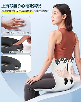 SOT理論書と姿勢矯正クッションセット SOT理論書と姿勢矯正クッションセット SOT理論書と姿勢矯正