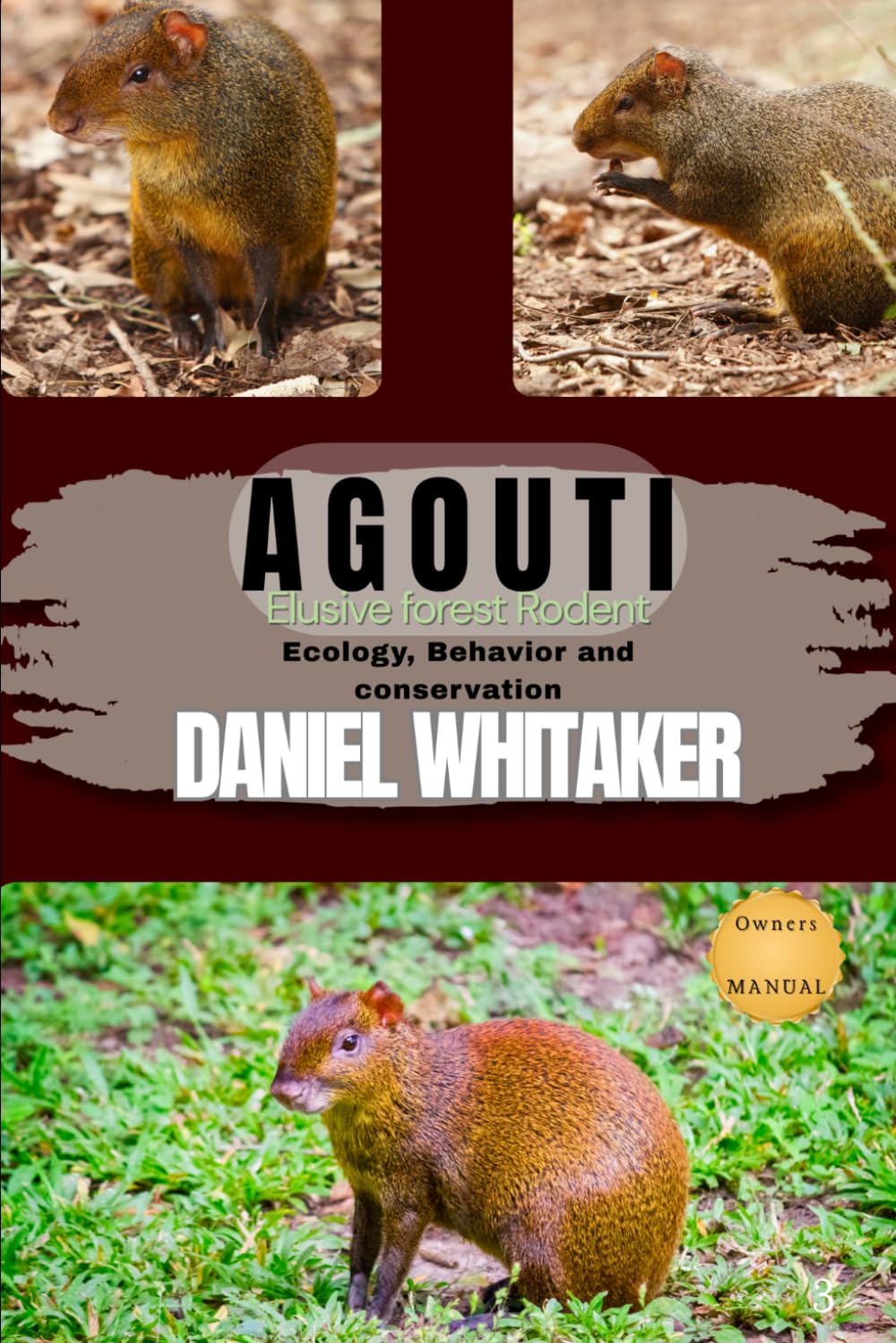 Agouti: Elusive forest rodent: ecology, behavior and conservation