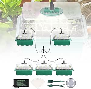 YeahBoom 6-delige mini-broeikas voor planten, zaaibak, kweekset met led