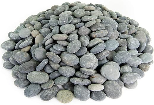 Mexican Beach Pebbles | 20 Pounds of Smooth Unpolished Stones | Hand-Picked, Premium Pebbles for Garden and Landscape Design | Black Buttons, 1/2 Inch - 1 Inch