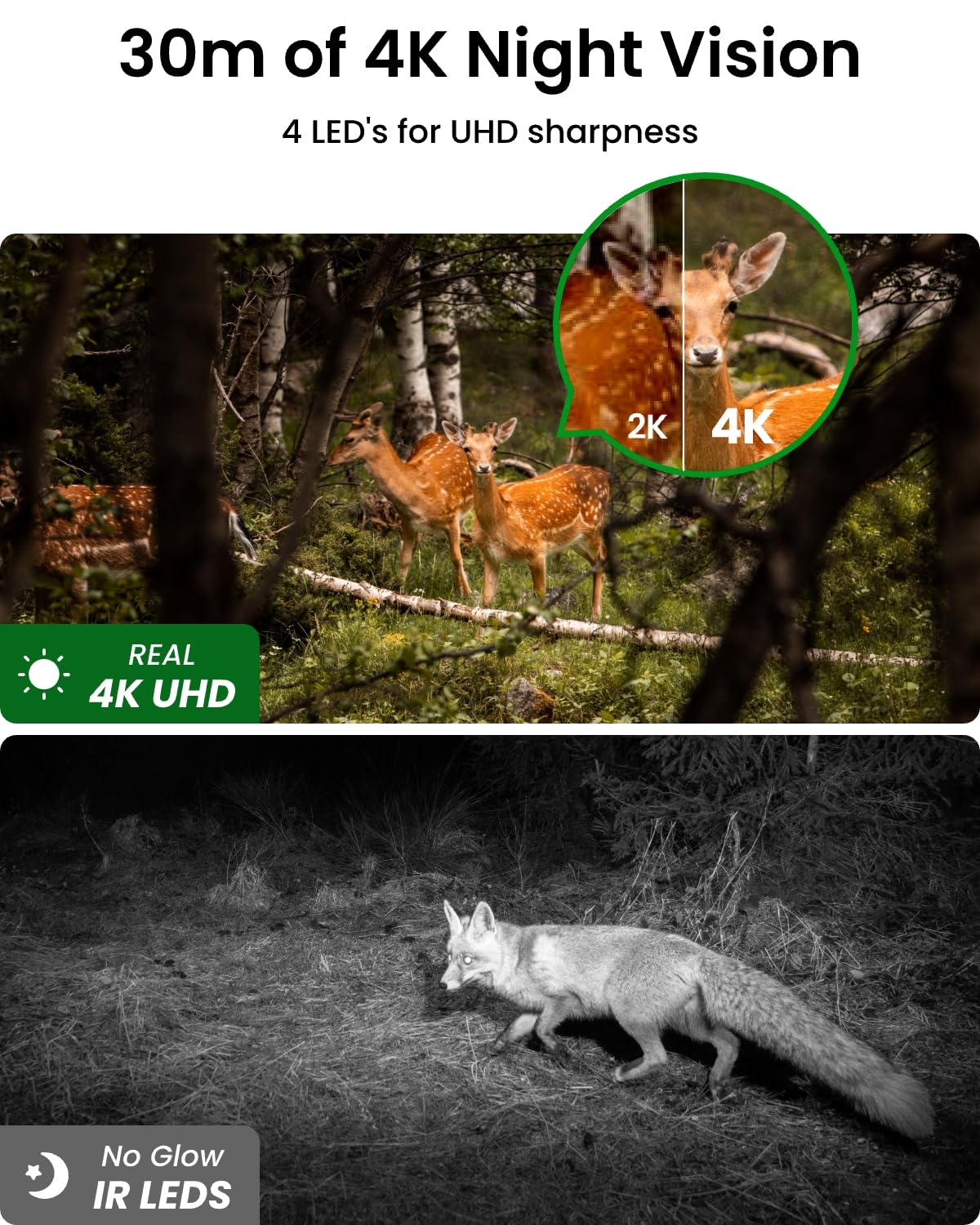 Reolink 4K Kamera Solar 4G LTE do Monitoringu na Zewnątrz z Nożycowym Mechanizmem, Widzeniem Nocnym i Detekcją Ruchu PIR, Rozpoznawaniem Zwierząt, Akumulatorem i Panelem Słonecznym + Karta microSD 32G
