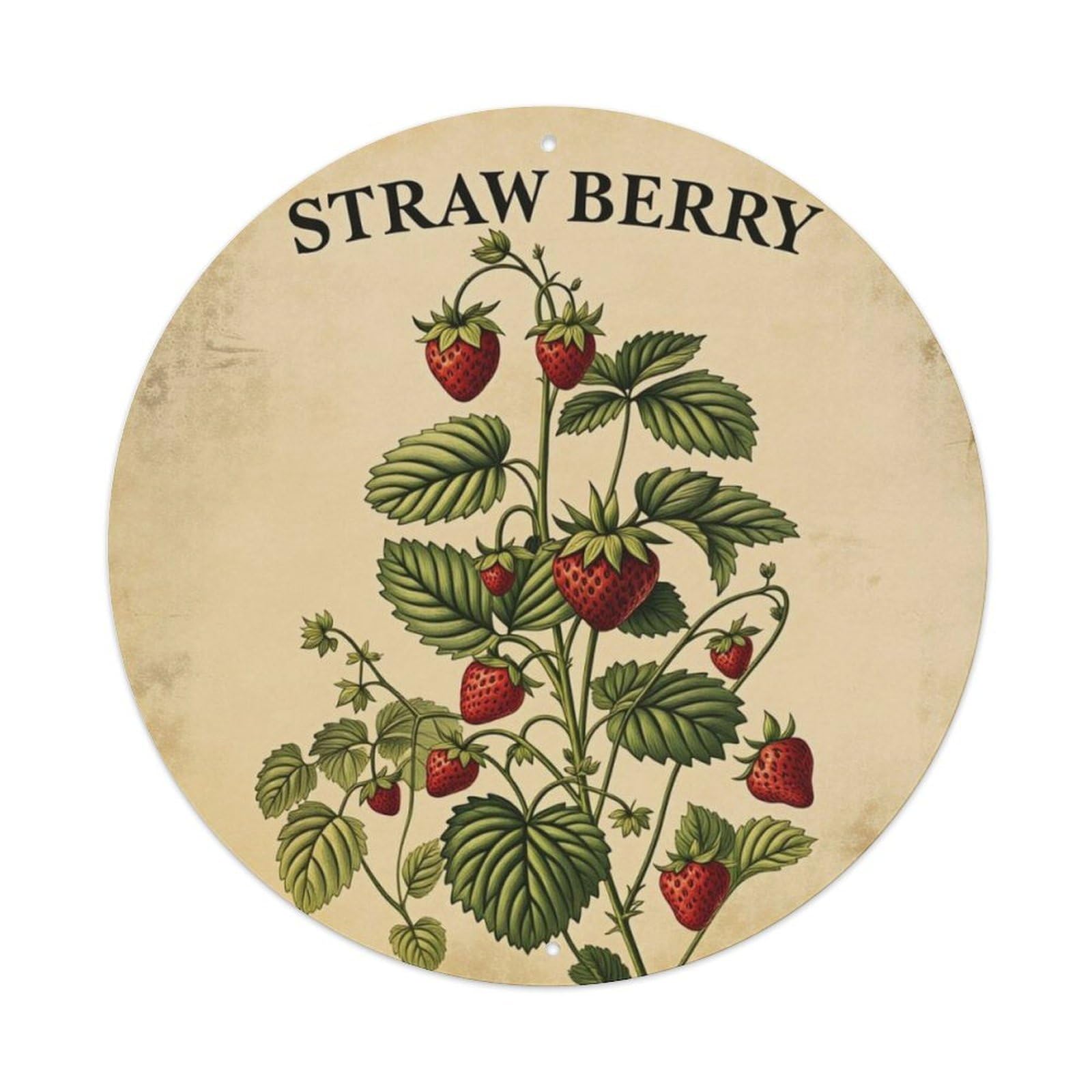 Vintage Country Hand Drawn Strawberry Plant Round Decor Sign Vintage Aluminium Metal Sign, Retro Wall Decor for Home, Bar, Garage & Farmhouse 20x20cm
