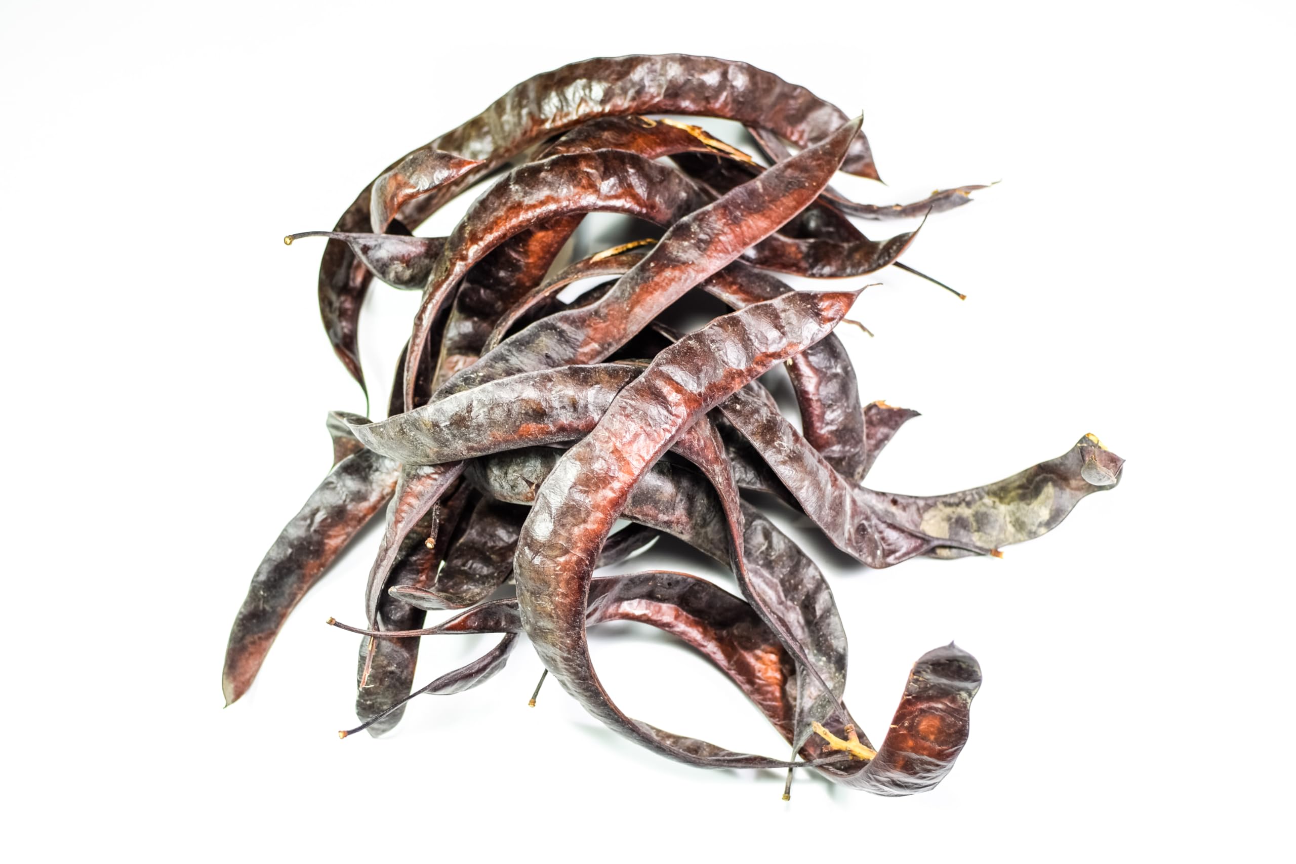 2 kg di cuticola di psillio biologico in secchiello - Purezza al 99% - Qualità 100% biologica (DE-ÖKO-003) - Vegano - Ricco di fibre - Integratore alimentare