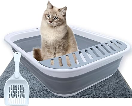 Collapsible Small Cat Litter Box,Open Top Cats Litter Pan with Scoop Waterproof & Foldable Kitten Potty Toilet Anti-Splashing Low Entry Kitty Travel Litter Tray Semi-Enclosed Easy CleanGray