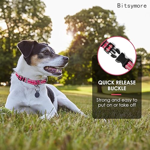 Miniatura 3 de BITSYMORE Martingale - Collar para perro, collar reflectante de nailon ajustable con hebilla, para perros pequeños, medianos y grandes. Evita que se