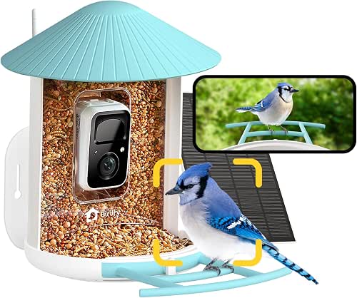 NETVUE by Birdfy AI Smart Bird Feeder with Camera (Solar