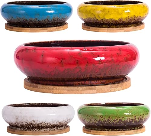 Miniatura 6 de ARTKETTY Plantas suculentas artificiales  Plantas suculentas falsas grandes en maceta de 7.3 pulgadas para decoración de escritorio de oficina en