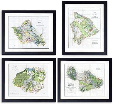 Hawaii Survey Maps - Unframed Wall Art Prints - Set of Four - Gift for Map Fans - Great Office or Home Decor - Ready to Frame 8X10 Vintage Photos