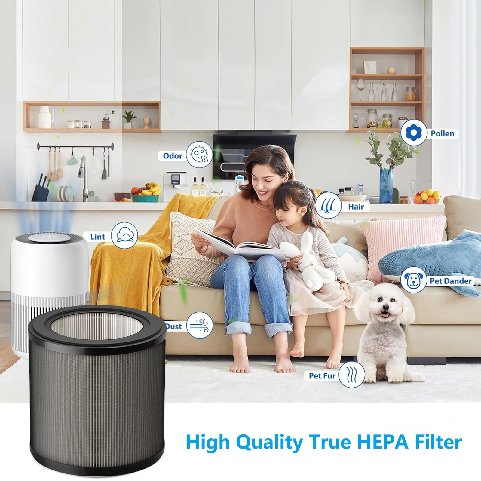 FY0900 - Filtro di ricambio compatibile con Philips 900 serie AC0920/10 AC0921/14 purificatore d'aria 2 in 1 H13 di ricambio HEPA FY0900/30, 2 pezzi
