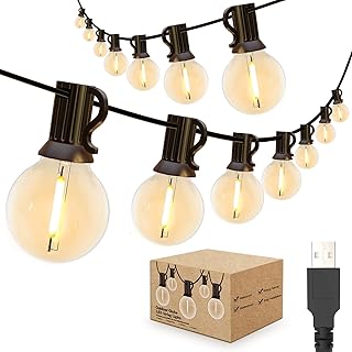 IKERY USB Outdoor String Lights, 30M/98FT Warm White 50+2 COB Globe Bulbs IP65 Waterproof Festive Lights Outdoor, Indoor Garden String Light for Gazebo, Christmas, Backyard, Party, Patio Decor