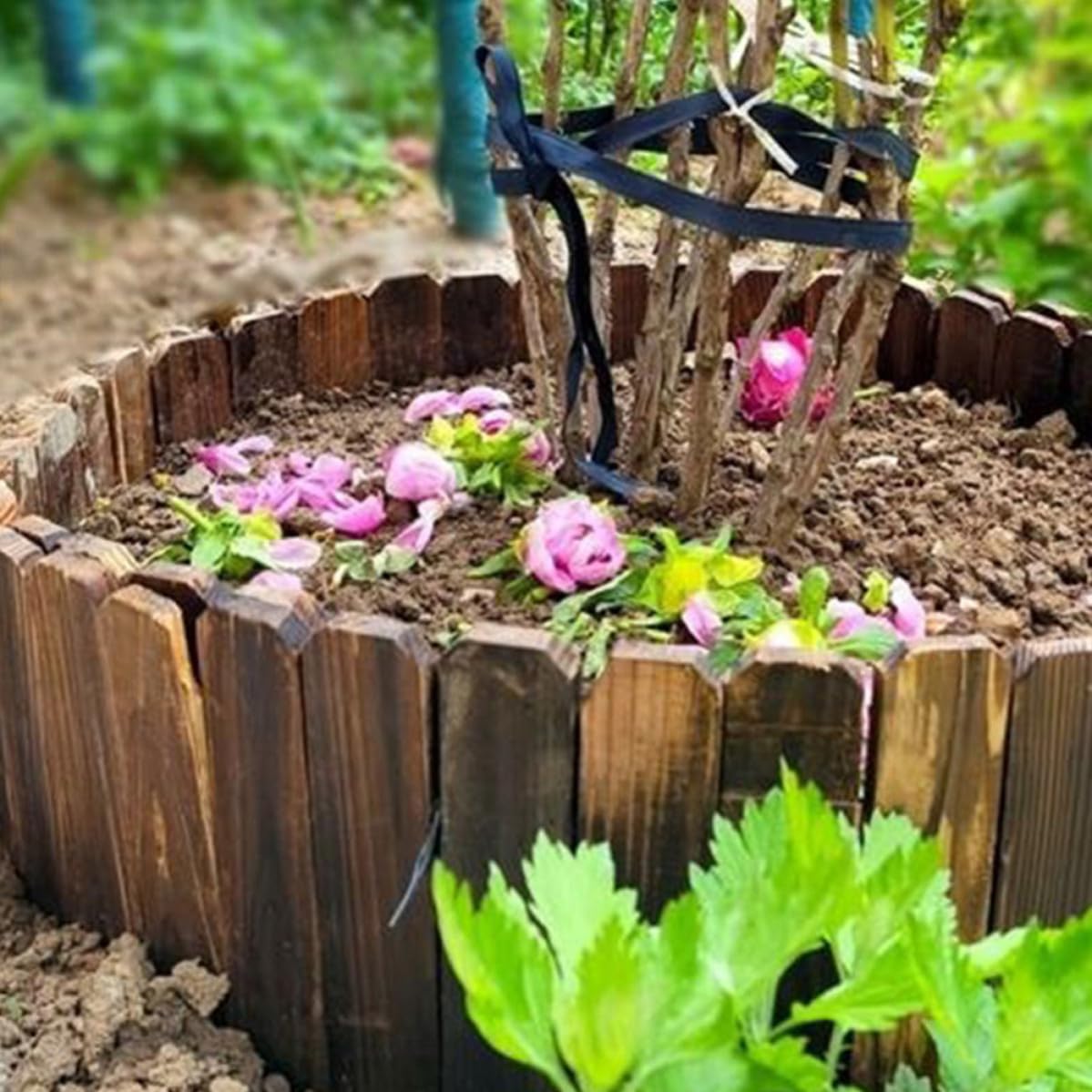 USHOBE Recinzione da Giardino in Legno Resistente Agli Agenti Atmosferici, Bordura Decorativa Naturale per Aiuole e Siepi, Riutilizzabile e Sicura per Uccelli e Piccoli Animali,