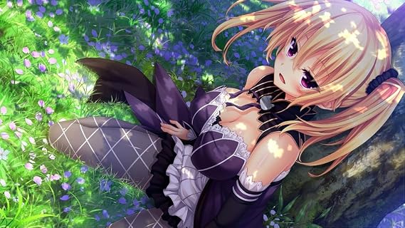 ノラと皇女と野良猫ハート HD 同梱特典TVアニメ『ノラと皇女と野良猫ハート』DVD、ChaosTCG「ノラと皇女と野良猫ハート」PRカード 同梱 - PS4