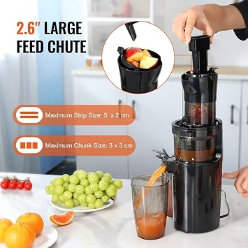 Masticating Juicer Cold Press Juice Extractor Large Feed Chute High Nutrient Fruits Vegetables Easy to Clean
