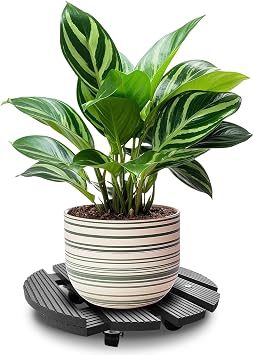6 Pack Round 12 Inch Raised Planter Caddy, Heavy Duty Plant Stand with Lockable 360 Wheels, Rolling Plant Caddy for Large Indoor Plants, Plant Mover, 220 lbs Capacity