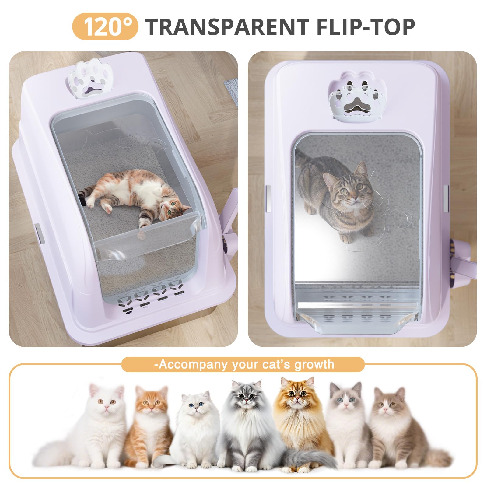 Lettiera per gatti in acciaio inox, completamente chiusa, extra large, in metallo, con lati alti e coperchio trasparente a 120°, paletta e tappetino, viola, XL