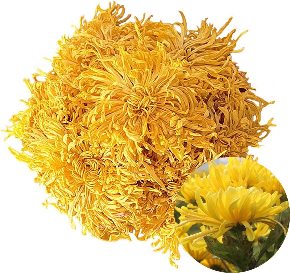 TooGet Dried Chrysanthemum Herbal, Premium Golden-Yellow Fetal Chrysanthemum Flower Tea, Loose Leaf Floral Tea, Top Grade - 2 OZ