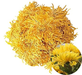 TooGet Dried Chrysanthemum Herbal, Premium Golden-Yellow Fetal Chrysanthemum Flower Tea, Loose Leaf Floral Tea, Top Grade - 2 OZ