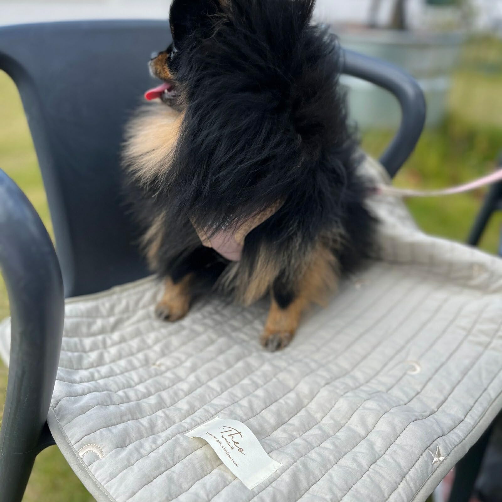 Amazon | Theo by mela-B メラビー カフェマット 犬 マッシュグレー