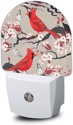 AOWULA Luz nocturna cardenal roja, luces nocturnas de cereza floreciente, enchufe en la pared para dormitorio de niños y niñas, lámpara LED AOWULA Luz nocturna cardenal roja, luces nocturnas de cereza floreciente, enchufe en la pared para dormitorio de niños y niñas, lámpara LED