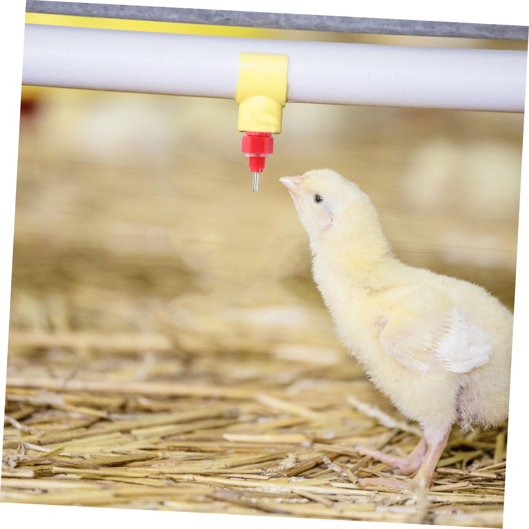 OFFSCH Chicken Feeder and Drinker Bucket 25 Pcs Chicken Waterer Screw Style Nipples for Easy Installation and Water Conservation