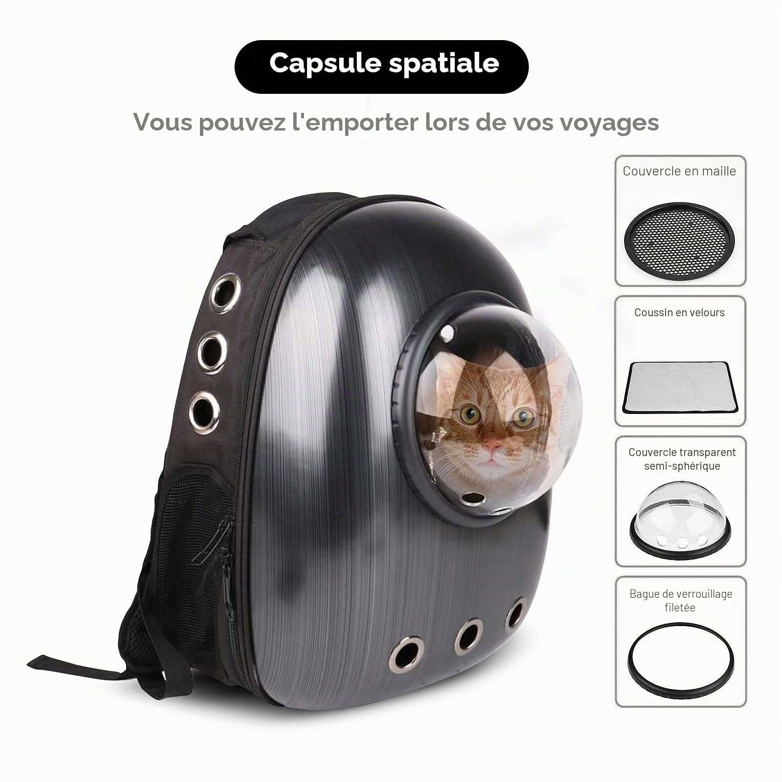 PETCUTE Sac à Dos pour Chats à Bulles,Respirant,Sac à Dos pour Animal Domestique avec Tapis Amovible et Poche Latérale,Faire de la Randonnée, Visiter des Cliniques Vétérinaires