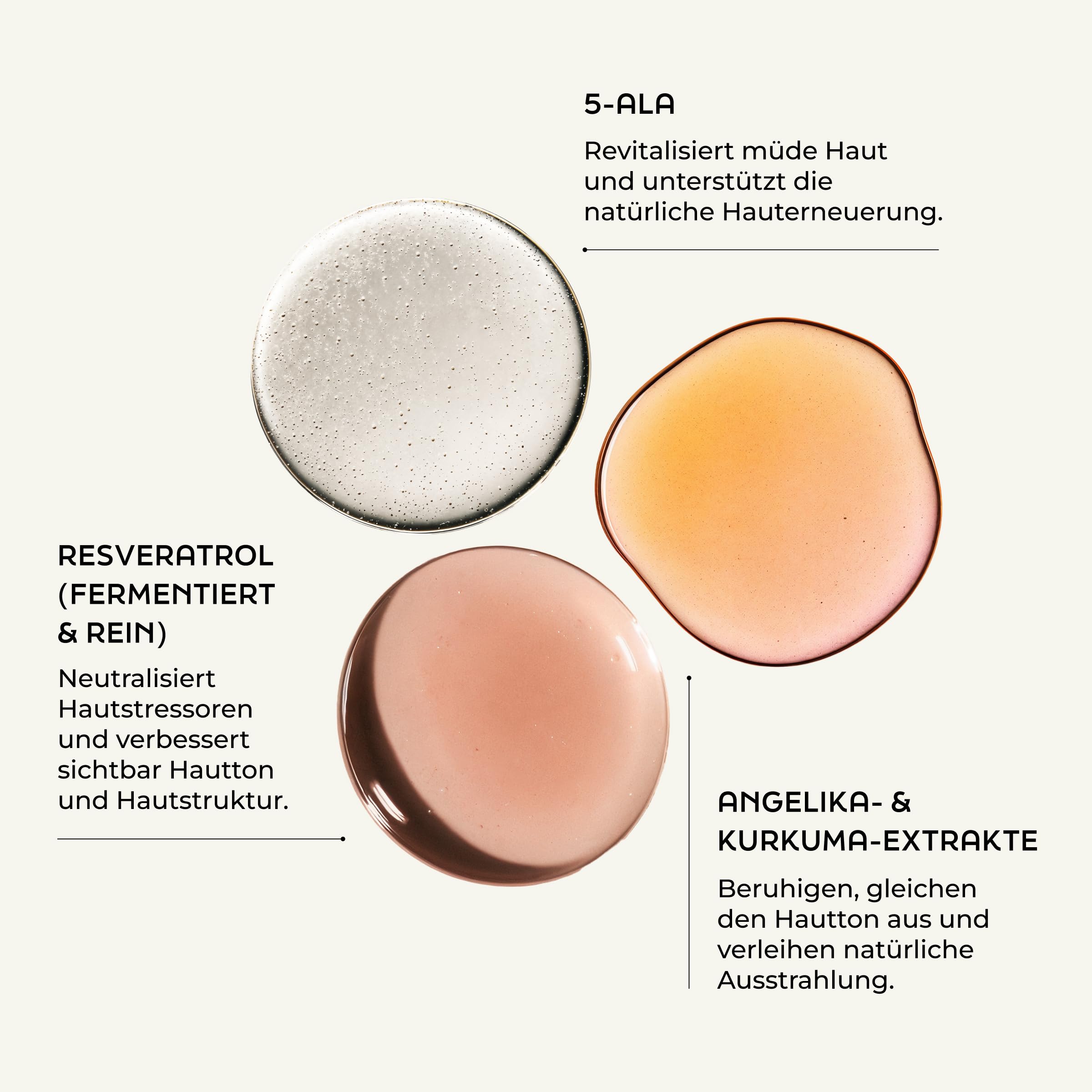 Regenerierende Nachtcreme Intensiv 50ml - mit 5-ALA, Ceramide und Resveratrol - bei trockener Haut, dermatest sehr gut, vegan Gesichtscreme für die Nacht Gesichtspflege Nacht Creme