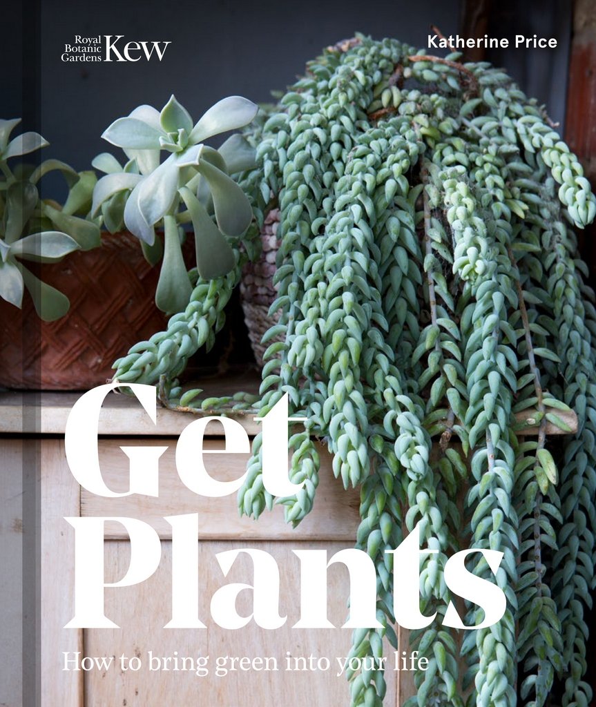 Get Plants: How to bring green into your life by Katherine Price HARDBACK