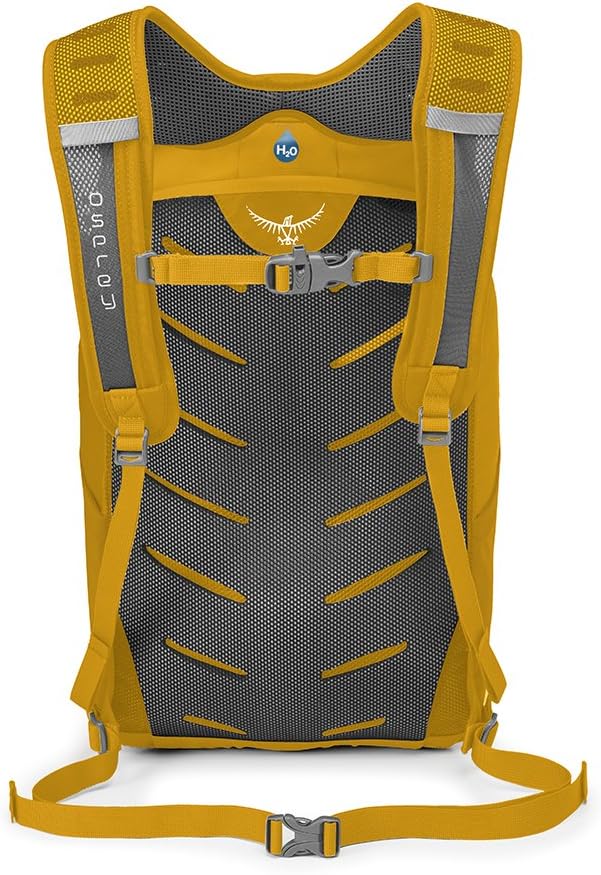 Osprey Daylite Plus Daypack