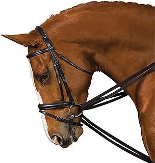 Juego de riendas alemanas con lona Kincade, color negro