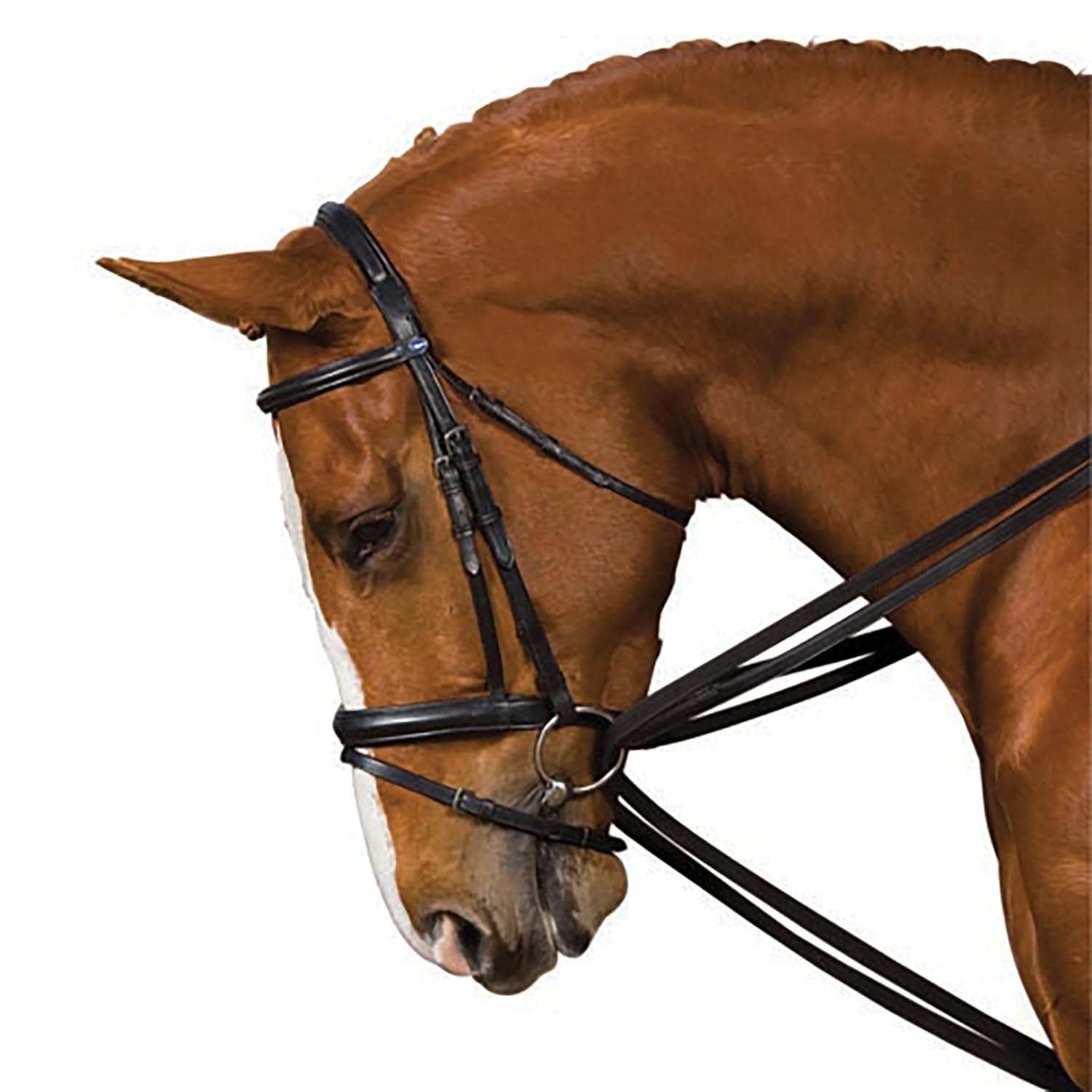 Kincade Web Draw Reins (Full) (Black)