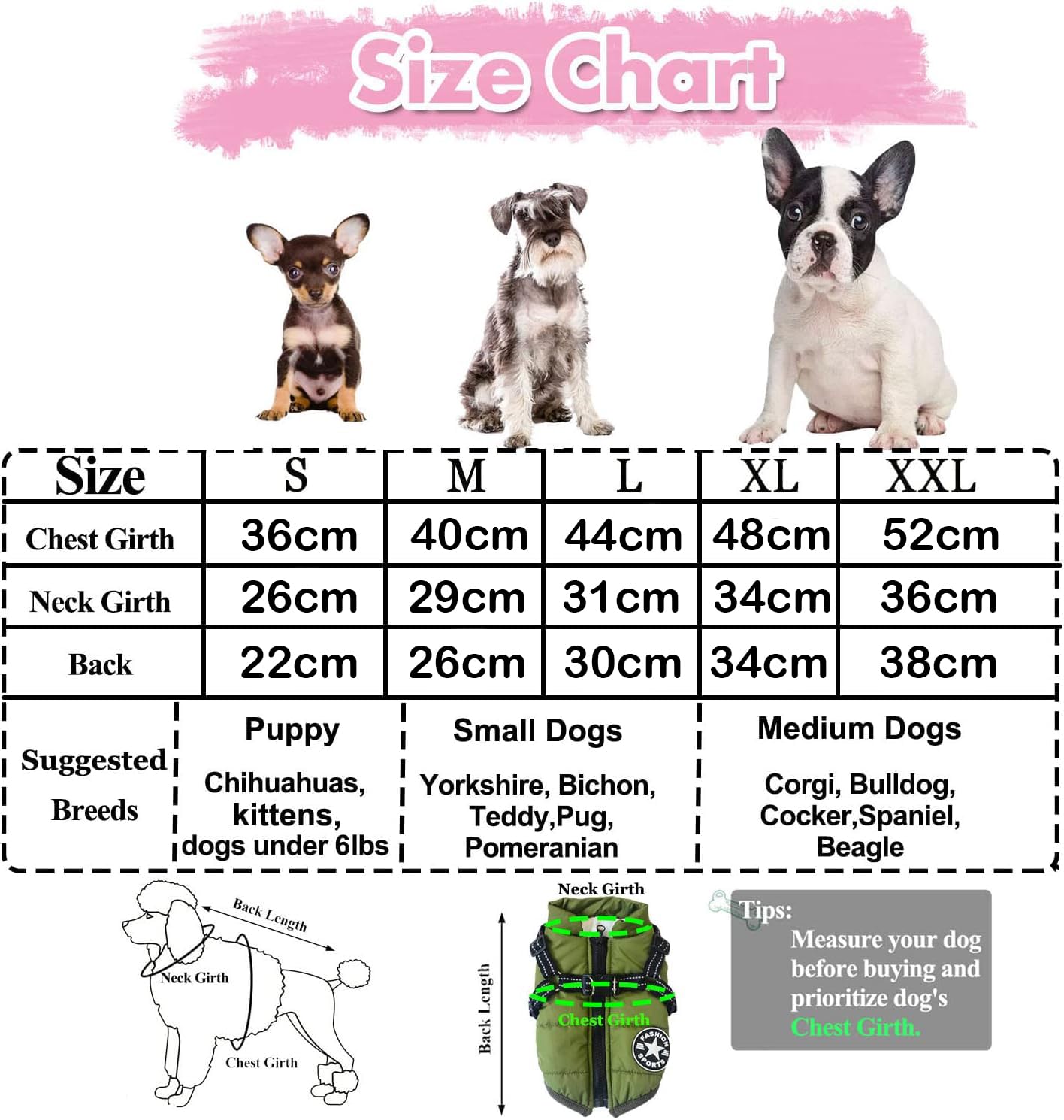 BT Bear Dogs Warm Coats, Waterproof Dog Clothes Winter Warm Vest Dog Jacket with Harness For Cats Puppy Small Dogs(Purple,M) - Image 3